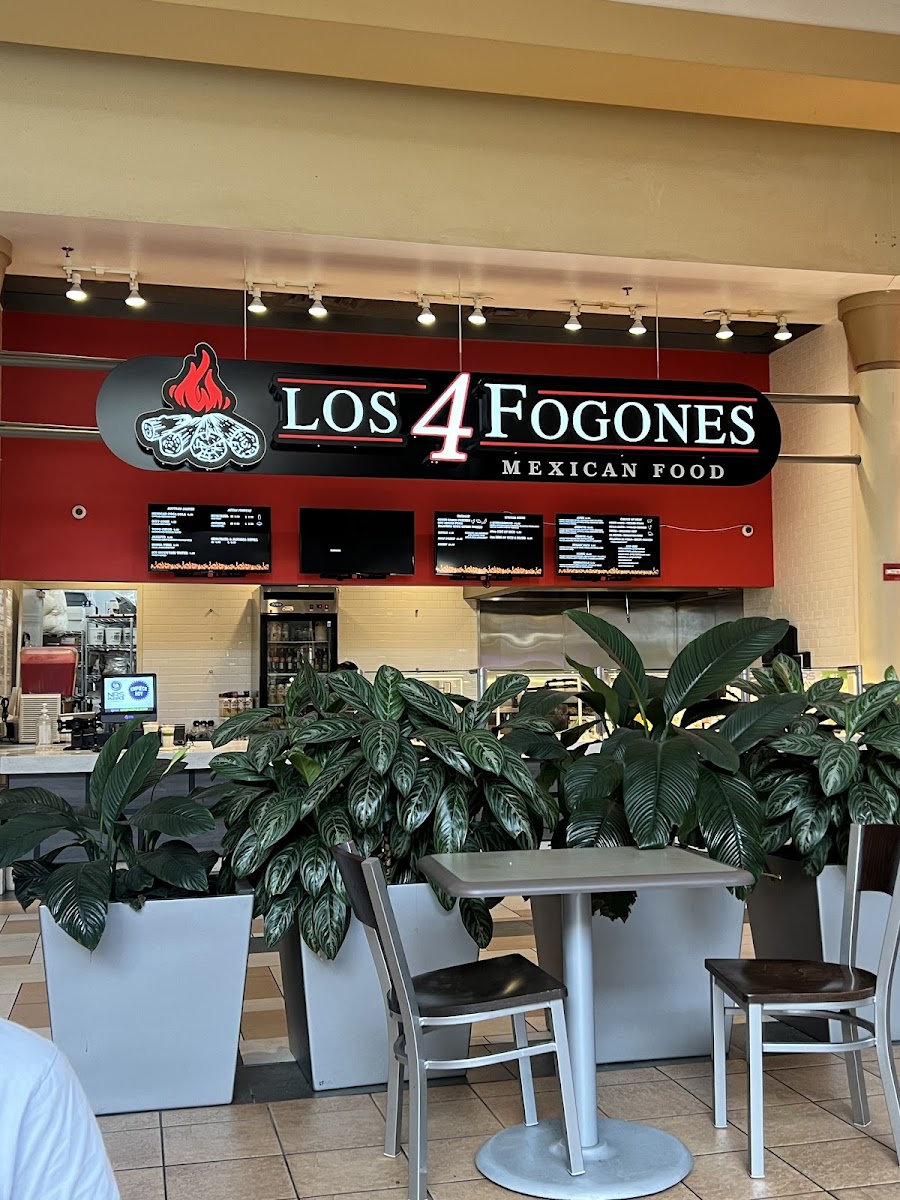 Los 4 Fogones