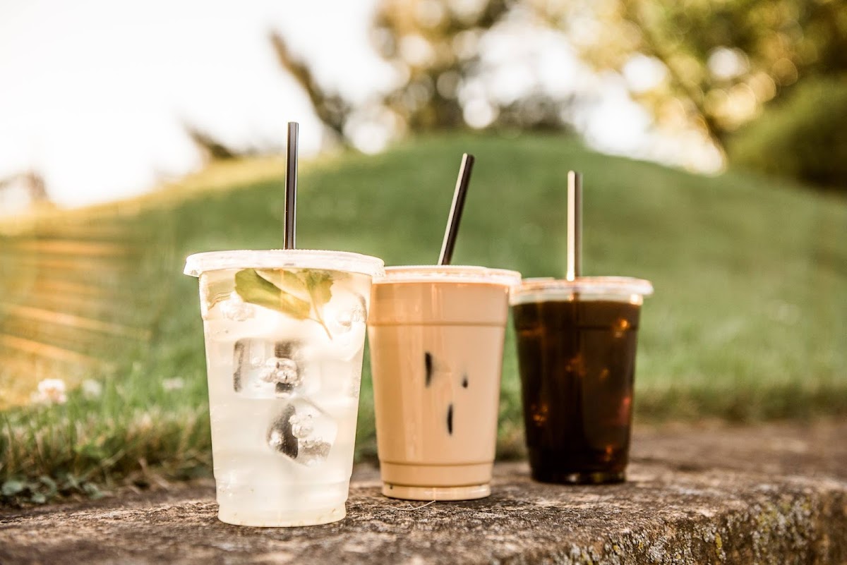 Lost Bear Coffee