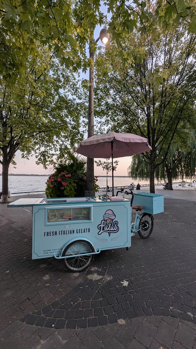 Lulu's Gelato Bike