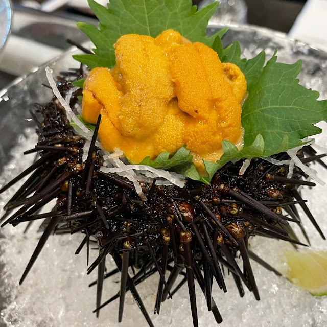 Sea Urchin - Uni