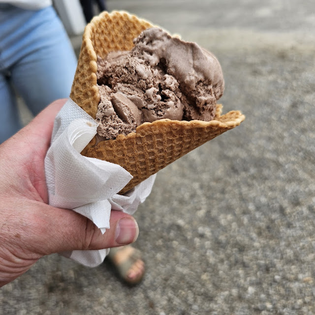 Coconut Chocolate Ice Cream