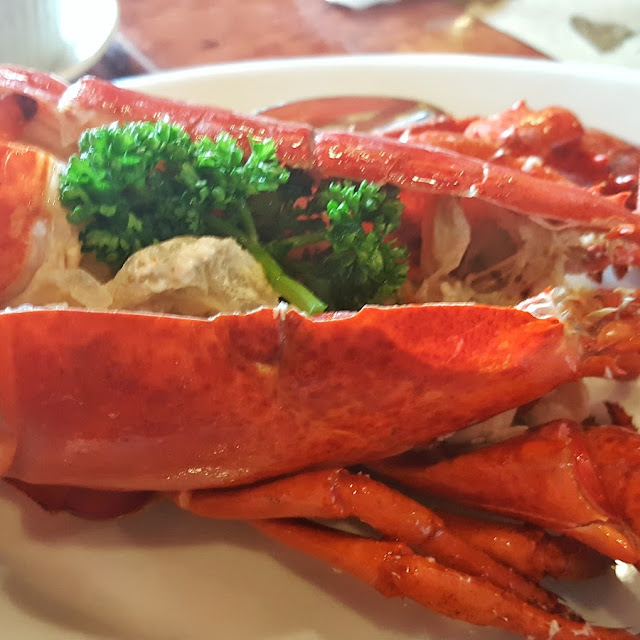 Steamed Live Maine Lobster