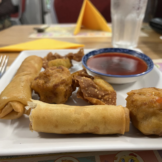 Spring Rolls Wontons and Dim Sum