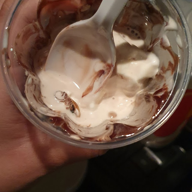 Fly with Chocolate Sundae