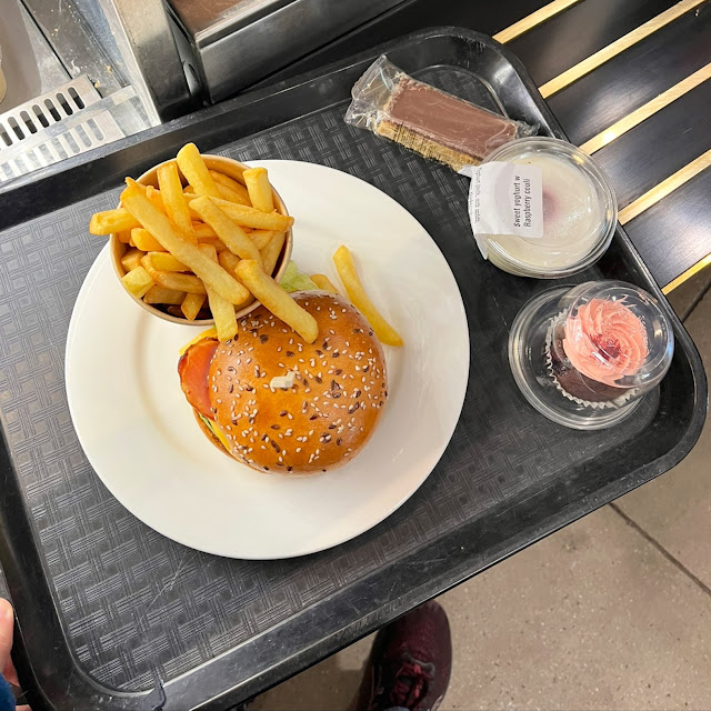 Burger and Fries with Yoghurt and a Slice