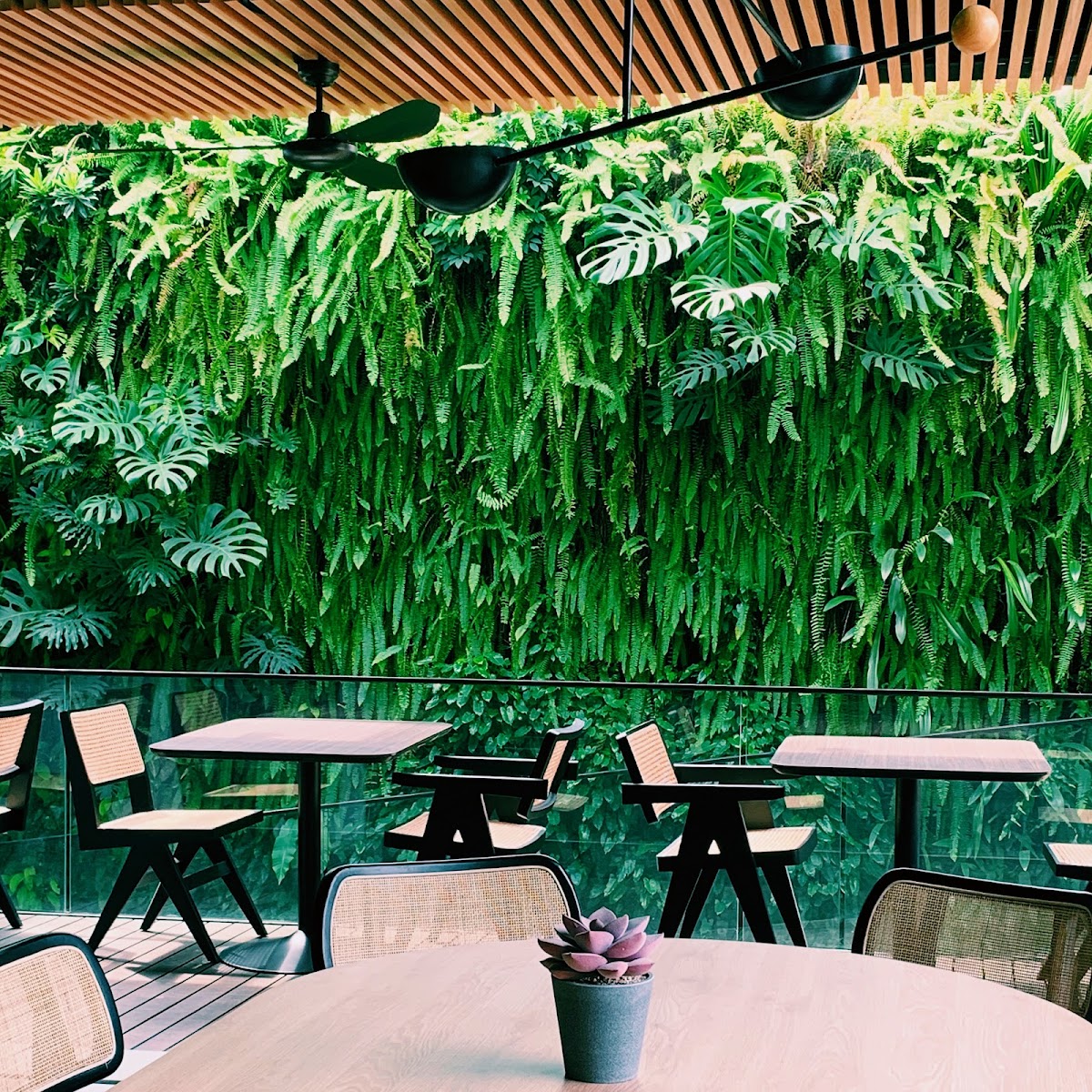 Middle Child