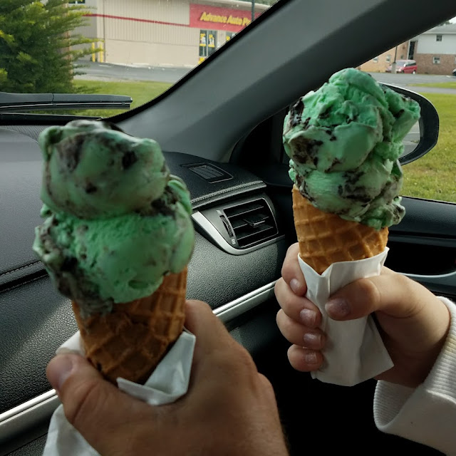 Mint Moose Tracks
