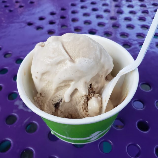 Scoop of Sea Turtle Scoop of Coffee