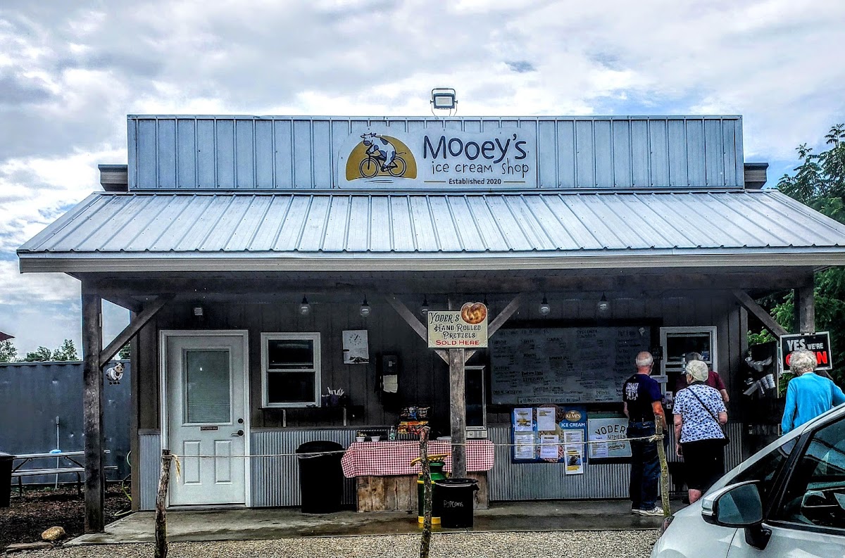 Mooey's Ice Cream