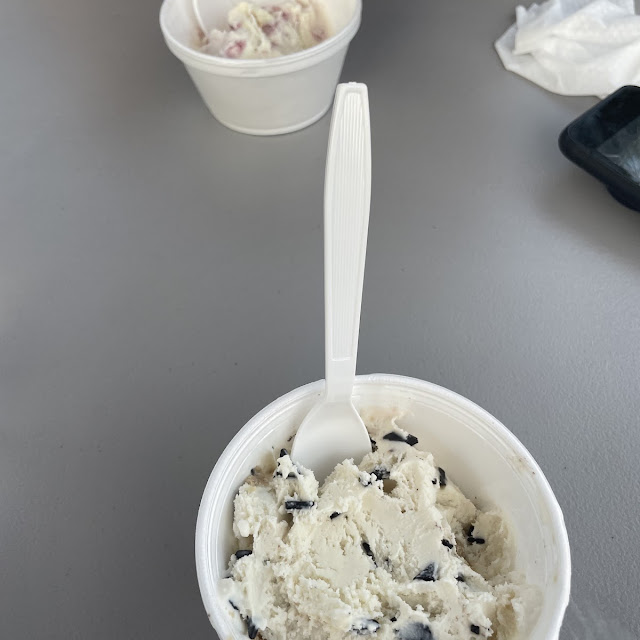 Chocolate Chip Cookie Dough