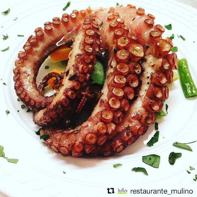 Octopus