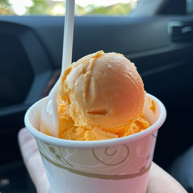 Mango Ice Cream