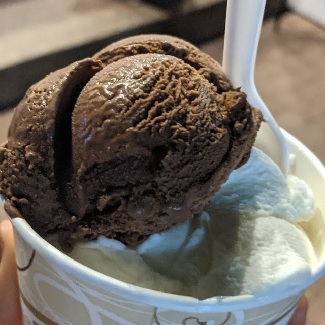 Chocolate and Creamy Coconut Ice Cream