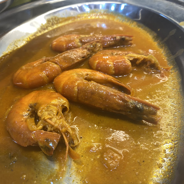 Udang