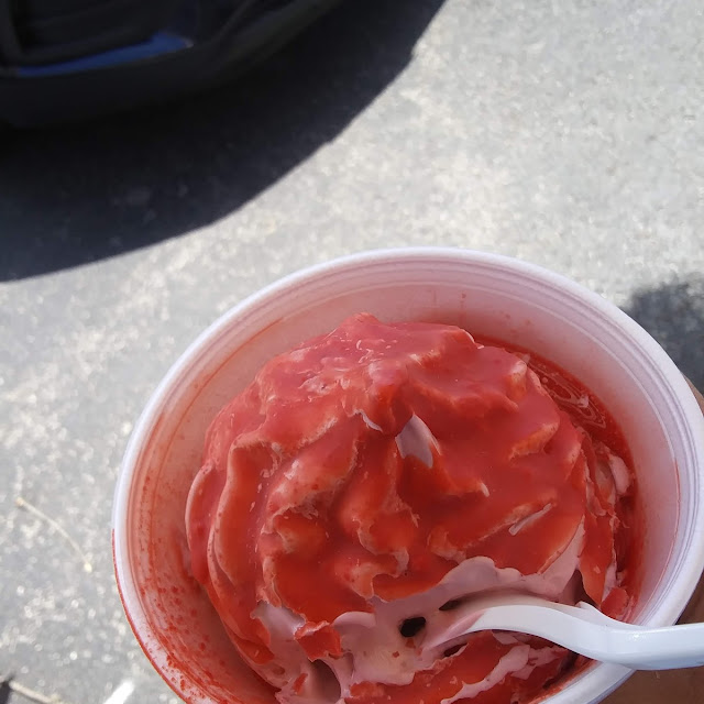 Blackcherry Custard with Cherry Dip