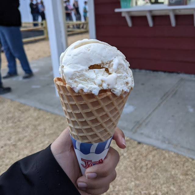Creme Brulee Cone