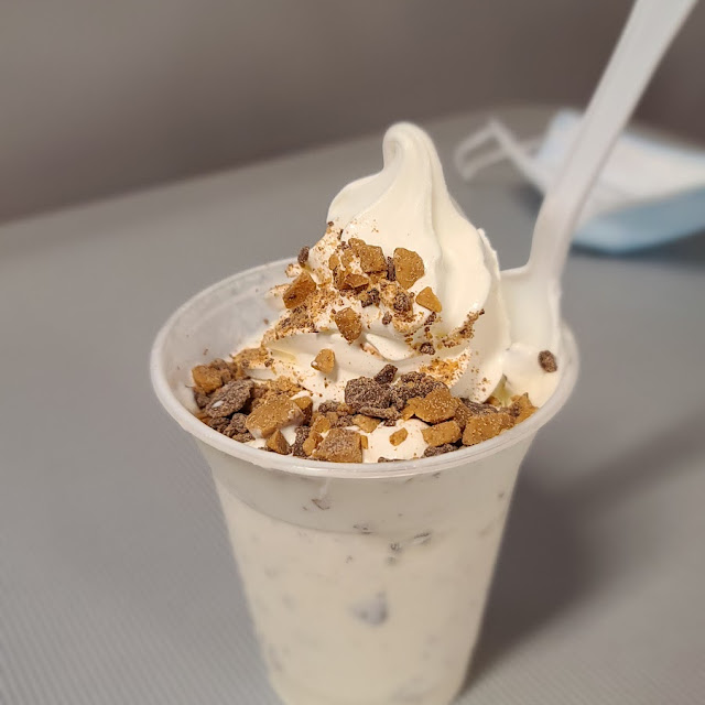 Yogurt Glace Format Grand Frozen Yogurt Large