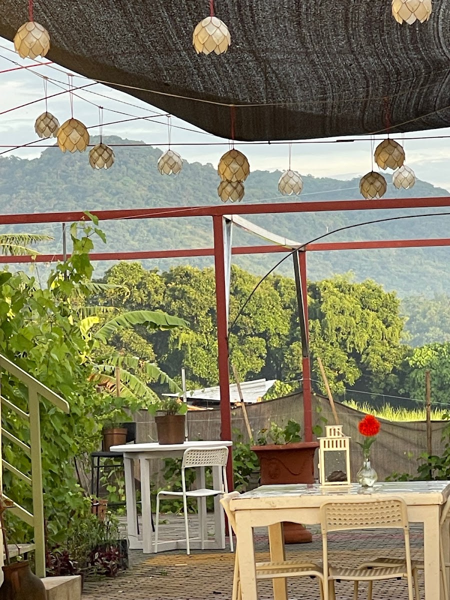 Olive Rose Vineyard & Farm Kitchen