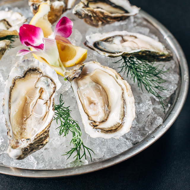 XL Premium Us Oyster