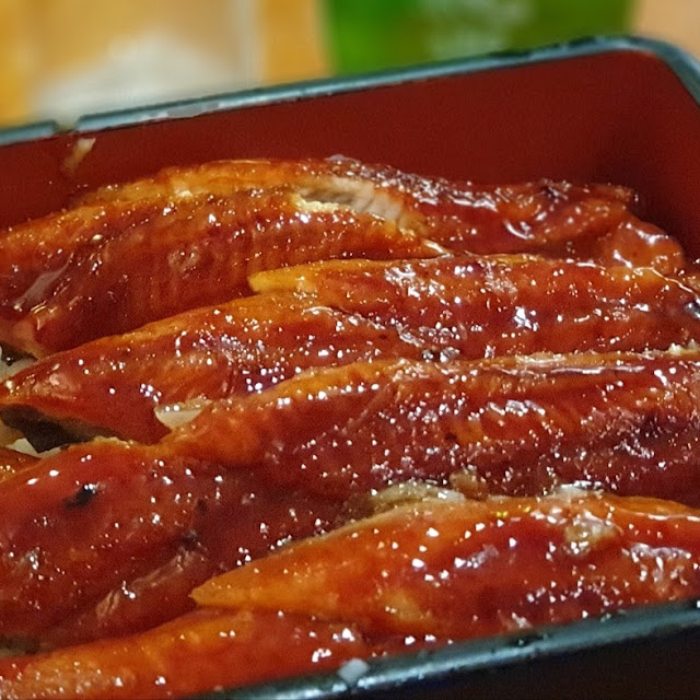 Eel Unagi