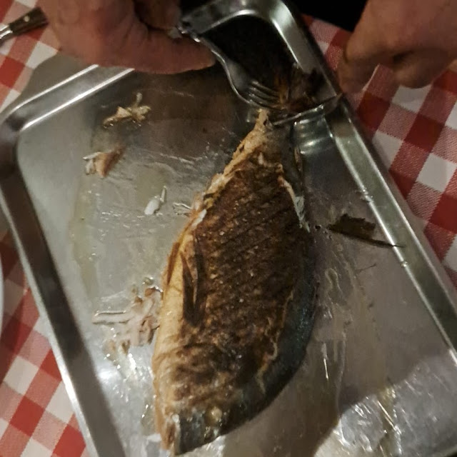 Orata