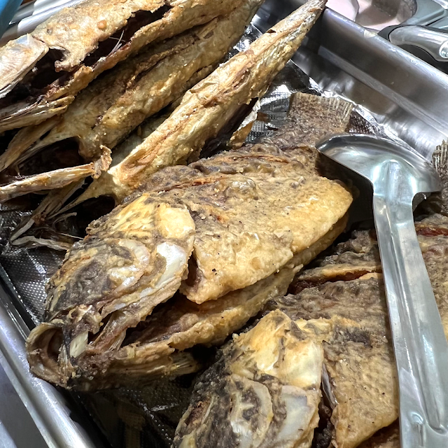 Fish