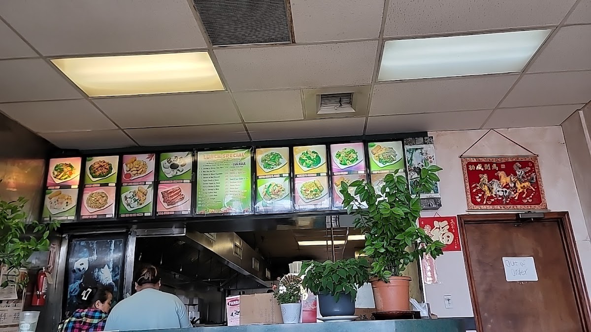 Panda