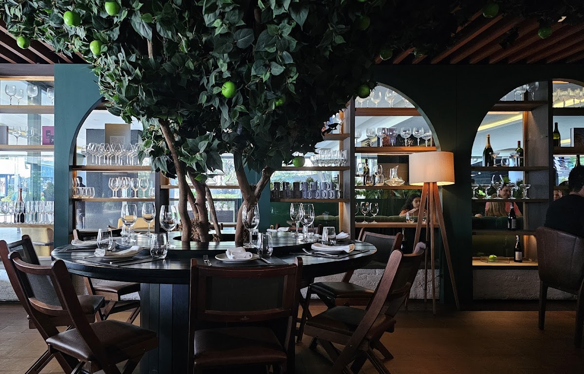 Paparoto Cucina
