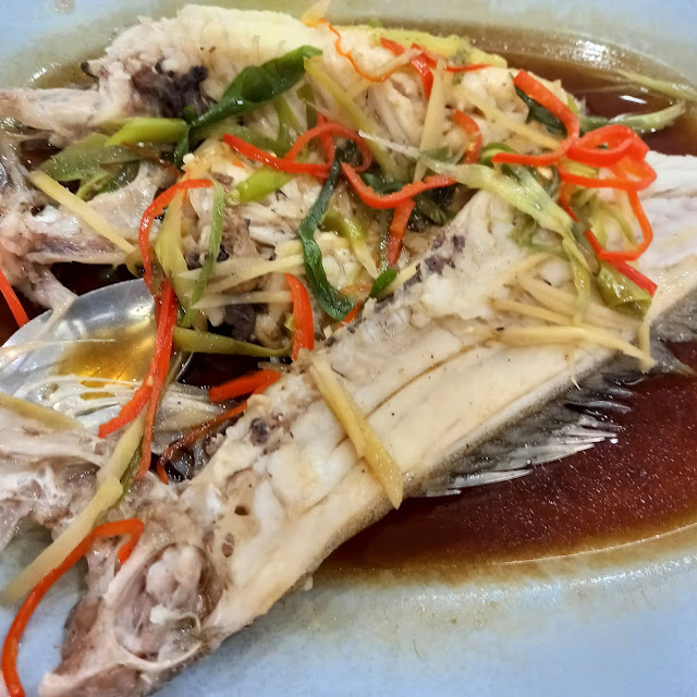 Ikan Kerapu Tim HK