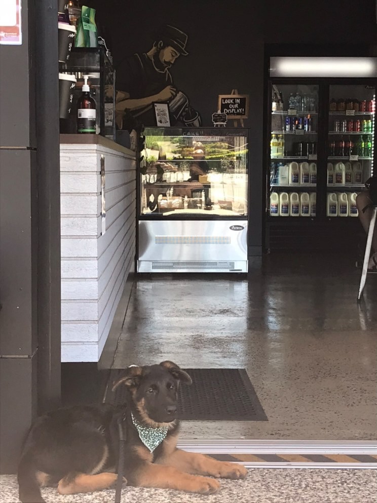 Park Lane Barista