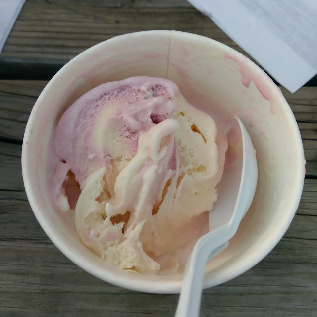 Deluxe Vanilla and Strawberry Ice Cream