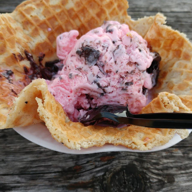 Moosetracks Ice Cream