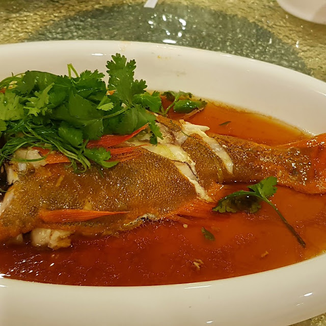 清蒸长寿鱼 Steamed Orange Roughy Fish