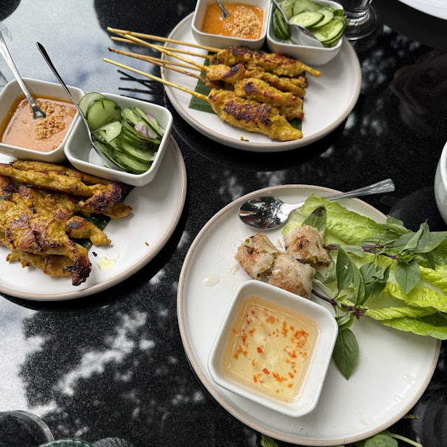 Chicken Satay and Spring Rolls