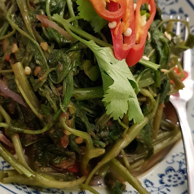 Kangkung