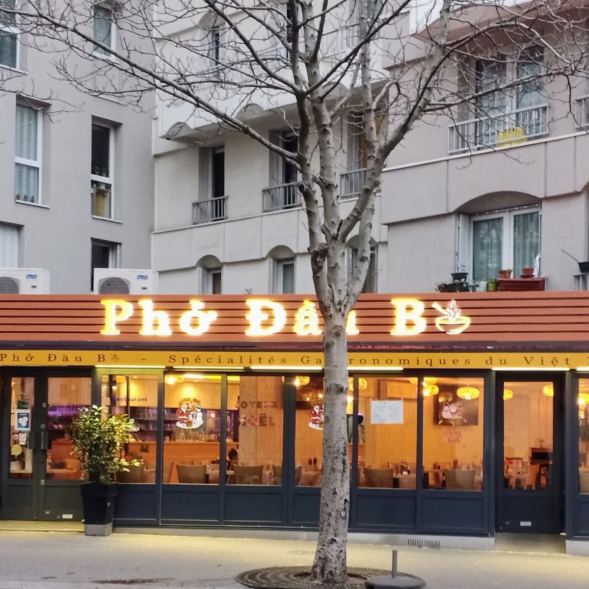 PHO DAU BO