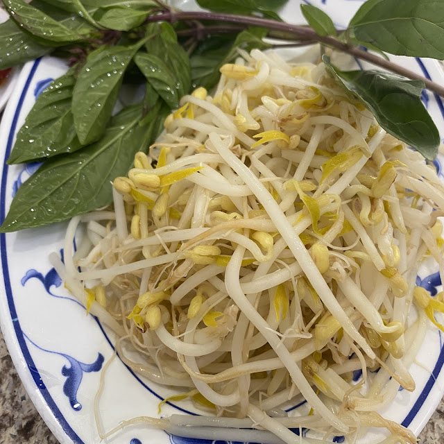 Bean Shoots
