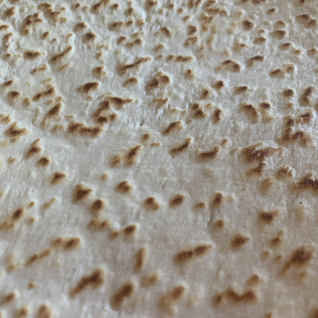 Piadina