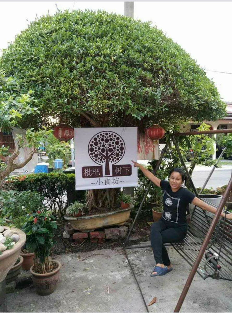pipa tree house