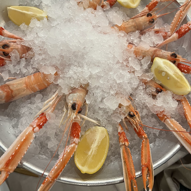 Scampi Con Ghiaccio