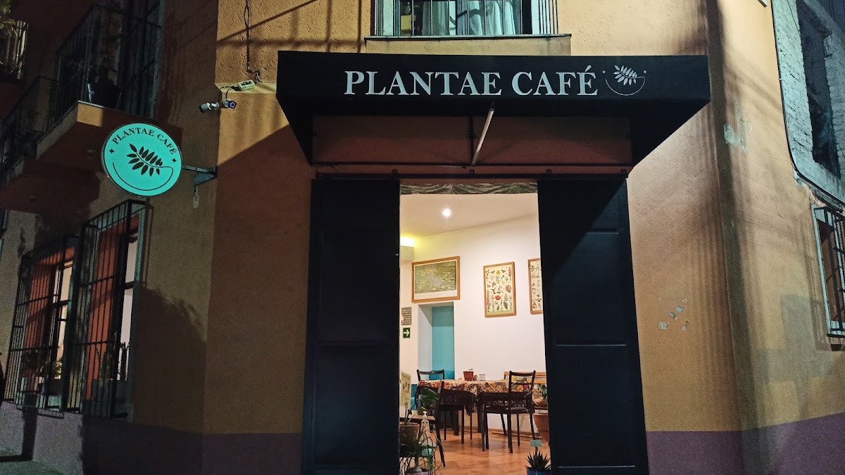 Plantae café