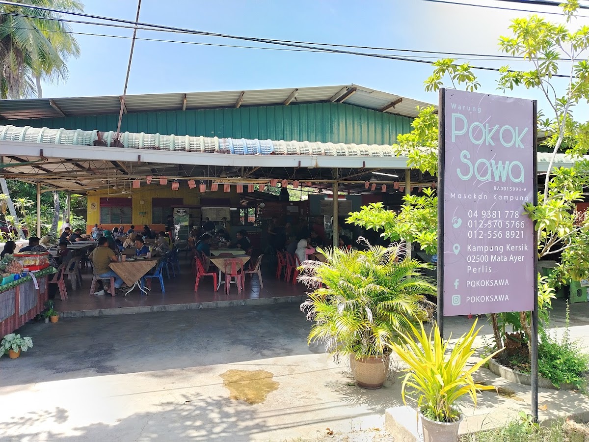 Pokok Sawa