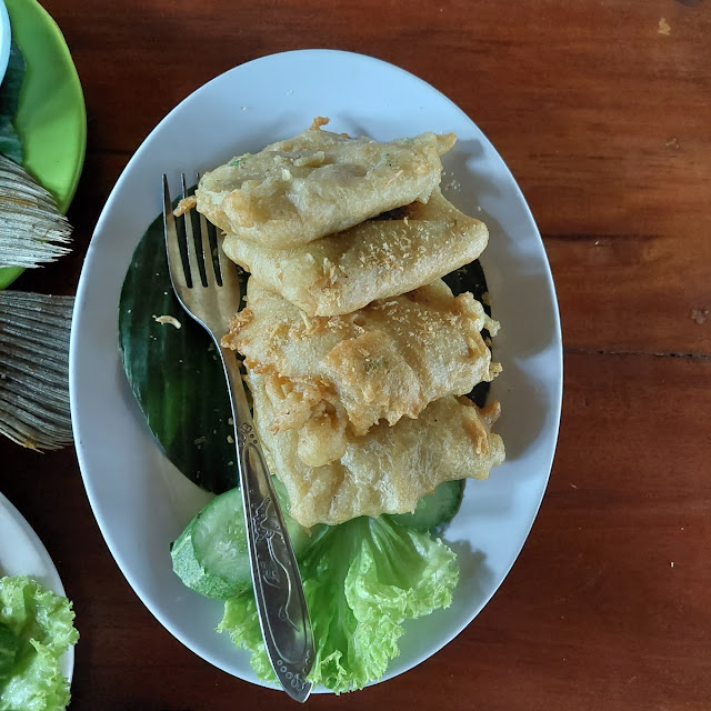 Tempe Mendoan
