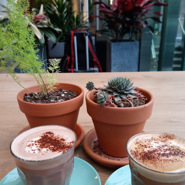 Hot Chocolate and Mocha