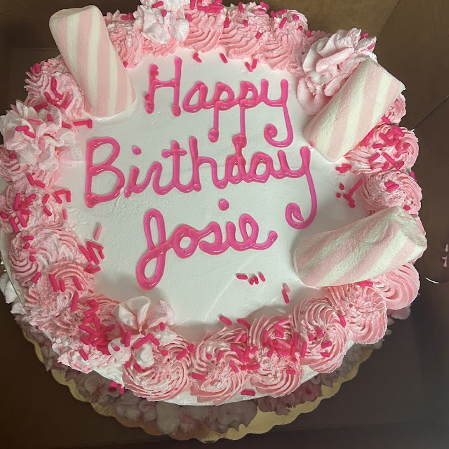 Sadie Birthday Cake