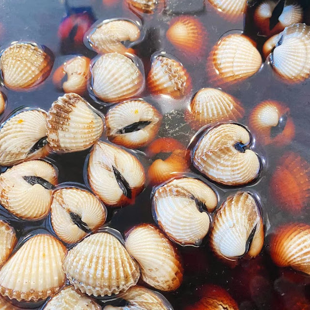 Various Kinds of Sea Snails 各式海瓜子
