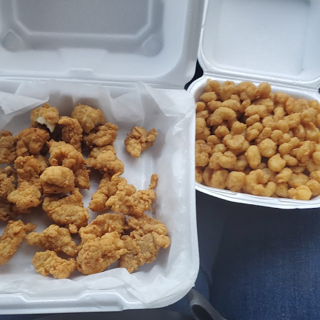 Alligator Bites