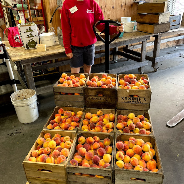 Fresh Peach Sundaes