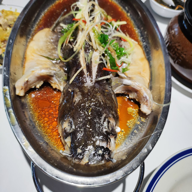 Talapia