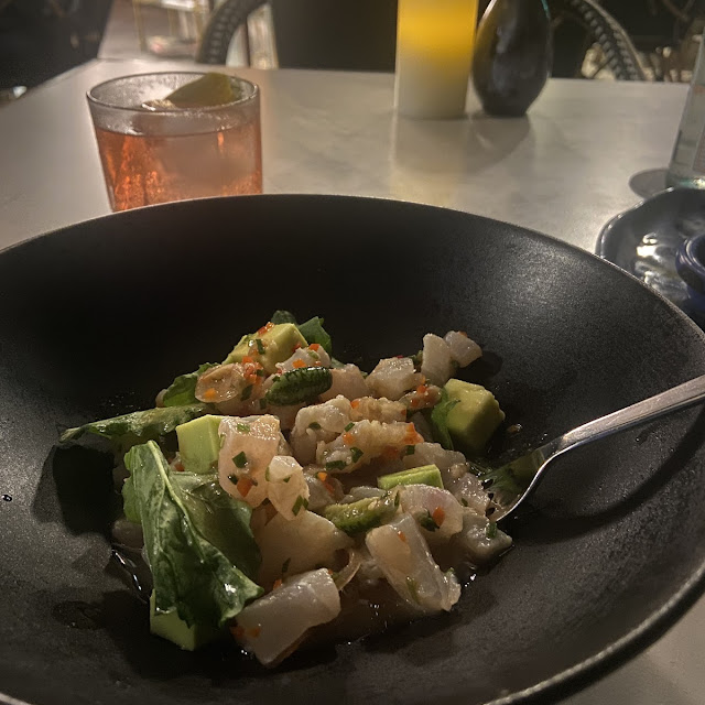 Ceviche Appetizer